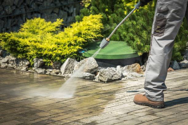Best Roof Cleaning and Mildew Removal in Arlington, MN