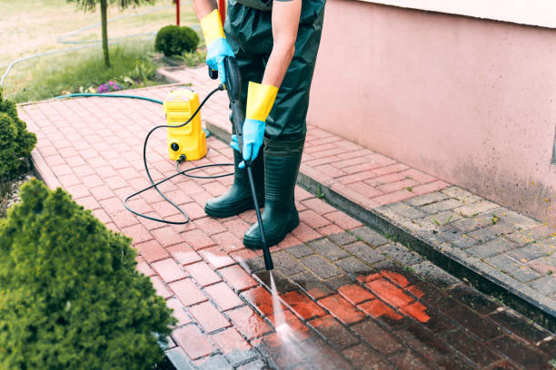 Best Sidewalk and Walkway Pressure Cleaning in Arlington, MN